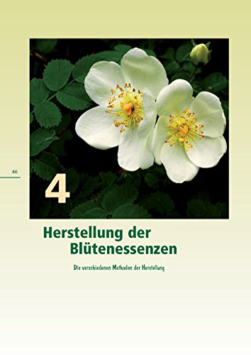 Bach-Blüten für meinen Hund: Wertvolle Helfer bei der Verhaltenstherapie