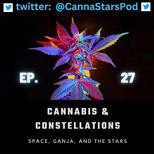 Misadventures and Musings: Tales from a Cannabis Enthusiast