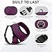 BINGPET Small Dog Harness, No Pull Dog Harness Small Sized Dogs, Soft Light Breathable Mesh Puppy Vest with Safety Buckle-Adjustable Step in Pet Harnesses for Easy Walking, Running, Training