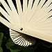 WEISIPU Hand-Made Faux Silk Belly Dance Fan Veils - Bamboo Long Fans Veils Available in 8 Stunning Colors for Dance Performances Right Hand(White)