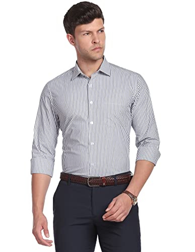 Image of Arvind AD Men Regular Fit Formal Shirt