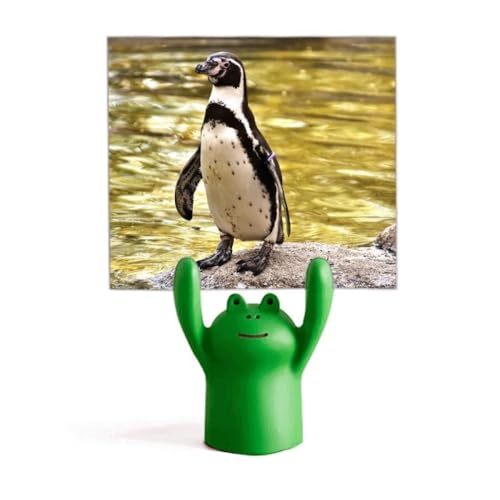 Porte-mémo pingouin pour ne plus perdre vos notes grâce à la décoration antarctique