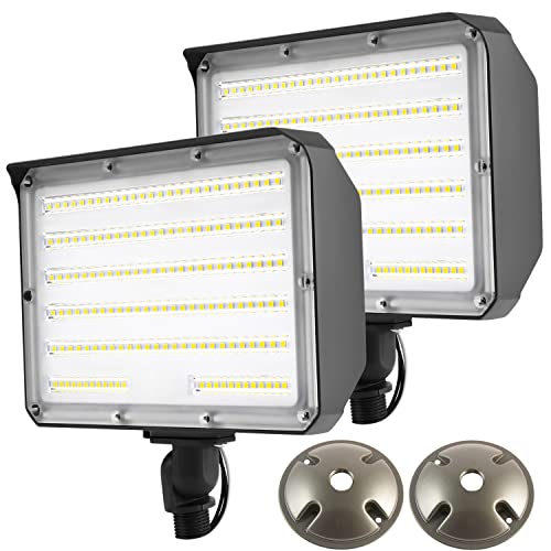 Best Outdoor Flood Light Fixtures TopRated Picks of 2024