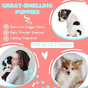 Alpha Dog Series Puppy Grooming Natural Dog Shampoo and Conditioner with Aloe Vera, pH balanced Shampoo for Dogs, Tear-Free, Moisturizing Dog Shampoo for Sensitive Skin – 26.4 Oz