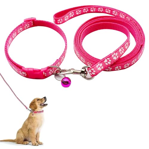 Collare Cane, Guinzaglio per Cani, Collare E Guinzaglio Cane, Guinzaglio, Guinzaglio Cani, Collari per Cani, Collare Cane Taglia Piccola, Per Cani Piccoli, Rosso Rosa