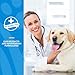 NaturVet Lutein Tear Stain Supplements for Dogs & Cats – Prevents Tear Stains for Dog, Cat Breeds – Includes Oregon Grape Root, Marshmallow Root, Cranberry Extract – 120 Ct.