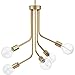 Progress Lighting P400149-078 Five-Light Chandelier, Antique Gold Leaf