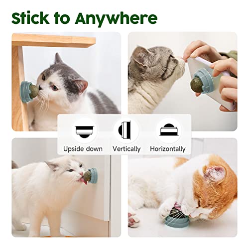 Potaroma 4 Pcs Catnip Ball Toys, 3 Silvervine Catnip Toys And 1 Cat Energy Ball For Lick, Edible Catmint Chew Toys thumb #4