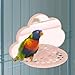 Bothyi Bird Perch Stand with Mirror Bird Cage Stand Toy Easy to Clean Creative Birdcage Perches Mirror Chewing Toy for Finch