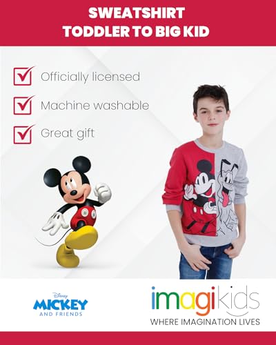 Disney Lion King Mickey Mouse Cars Toy Story Sweatshirt Toddler to Big Kid Sizes (2T - 18-20)3