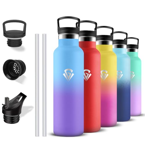 Gourde Isotherme, Gourde 750 ml, Sans BPA, Bouteille Isotherme, Anti Fuite, Bouteille Inox, Double Isolation, Thermos avec Paille, Facile à Nettoyer, Bouteille d'eau pour Voyage, Aptitude, Camping