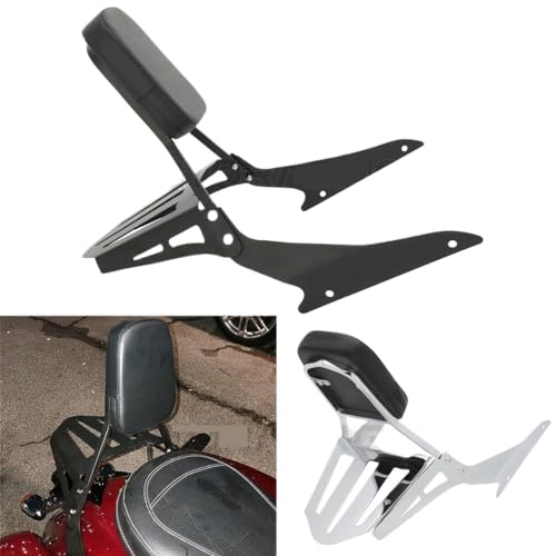 Barre Sissy Passager Arrière Boulevard M109R Custom avec Rack - 2