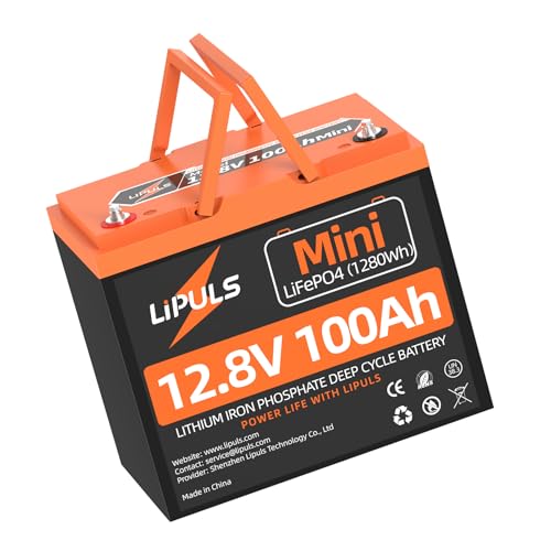 12V100Ah Mini LiFePO4 Lithium Battery, 100Ah Lithium Deep Cycle Battery, Max.1280Wh, 100A BMS, 15000 Cycles, Perfect for Trolling Motor, RV, Camping, Solar Panel