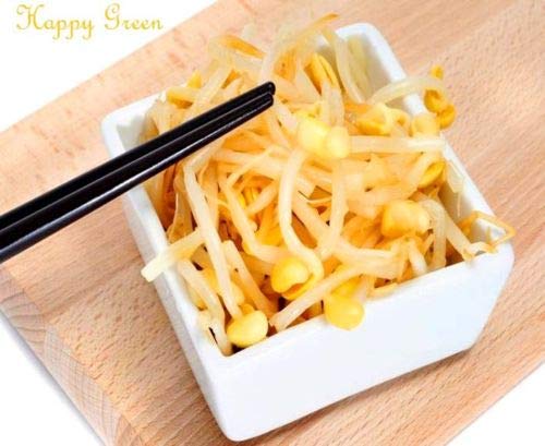 Risala Sprouting Seeds - Soybean Sprouts Seeds 20 Grams