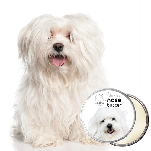Image of The Blissful Dog Coton de Tulear Unscented Nose Butter, 16oz