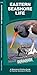 Eastern Seashore Life: A Folding Pocket Guide to Familiar Plants & Animals (A Pocket Naturalist Guide)