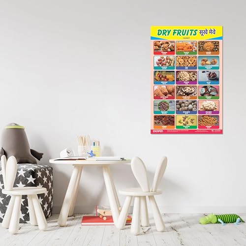 Image of ESCAPER Dry Fruits Educational Charts for Kids, Charts for Kids Learning (11.5 x 17.5 inches), Kids Study Material, Kids Learning Books, Educational Posters