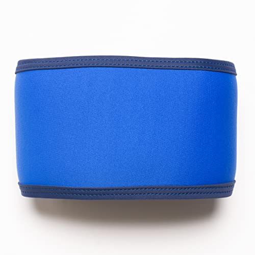 Image of PlayaPup Male Dog Belly Band, Royal, Large