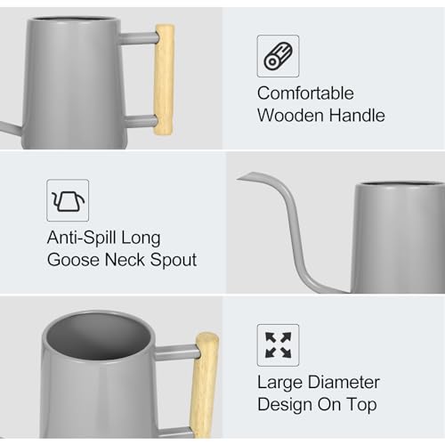 Image of Watering Can Indoor Plants, 35 oz /1000 ml Metal Stainless Steel Watering Can Pot with Long Spout for Indoor House Plants Bonsai Outdoor Garden Flower Decorative (Gray)