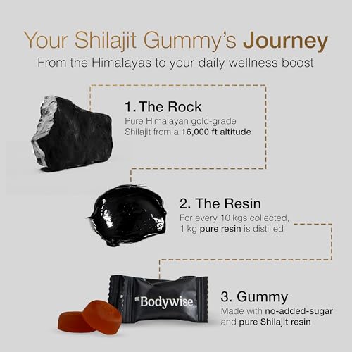 image for Be Bodywise Pure Himalayan Shilajit Gummies Gold I No Added Sugar I As
