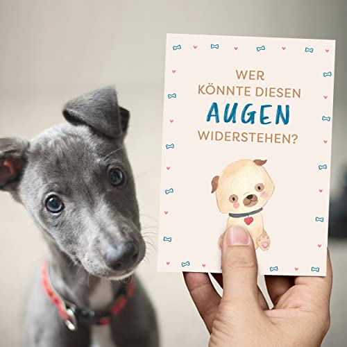 Kipitan Geschenk für Hundebesitzer: 30 Meilensteinkarten für Hund, Frauchen & Herrchen – als Hundetagebuch und Erinnerung an das erste gemeinsame Jahr