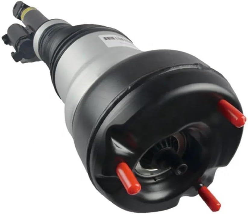 □Fizik フィジーク□Arione VERSUS アリオネ バーサス R1