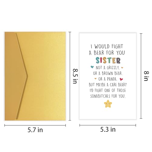 Goroar Funny Birthday Card for Sister, Humorous Sister Birthday Card, Sis Bday Greeting Card, I Would Fight A Bear for You Card