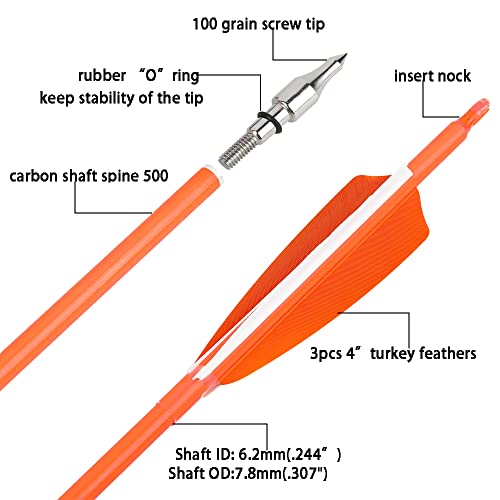 surwolf 31' Carbonpfeile Bogenschießen Jagdpfeile 500 600 Spine mit Feder Fletched Target Übungspfeile für Bogenschießen Compound & Recurve & Langbogen 6/12 Stück (12, orange, Spine 600)