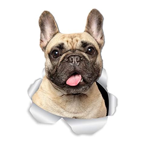 Winston & Bear French Bulldog Wall Decals Cover