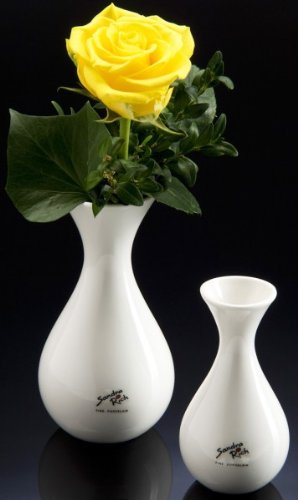 Solifleur vaso in vetro cilindrico di Sandra Rich, diametro 5 cm, Vetro