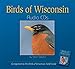 Birds of Wisconsin Audio CDs: Companion to Birds of Wisconsin Field Guide
