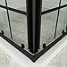 SUNNY SHOWER Double Sliding Shower Door with 1/4 in. Clear Glass Corner Shower Stall, 2 Fixed Clear Glass Panels, 36 in. x 36 in. x 72 in. Matte Black, Shower Base Not Included