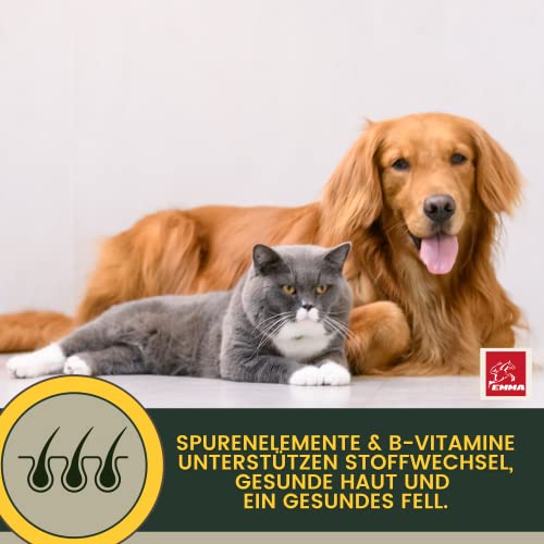 EMMA Katzen Vitamine Multivitamin 100 ml | Vitamin B Komplex mit B12 B6 B1 A D3 E | Mineralien Folsäure Eisen Zink Selen & L-Lysin | Immunsystem stärken, Fell & Stoffwechsel Katze