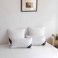 Vista 5 de Juego de 2 rellenos de almohada de 16 x 16 pulgadas para relleno de almohada, almohadas decorativas para cama, rellenos de almohada de 16 x 16