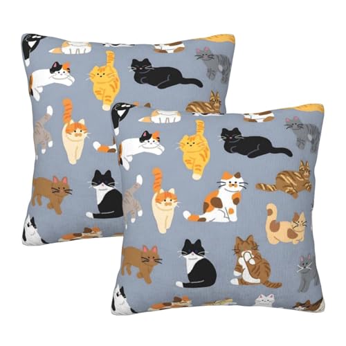 Wynrib L̉Ƒ X[s[ Jo[ 2Zbg vbV Jo[  k BWbp[ \tg XNGA NbV Jo[ z[ JE` \t@[ peBI Qp JE`Ɂi16"x16" j