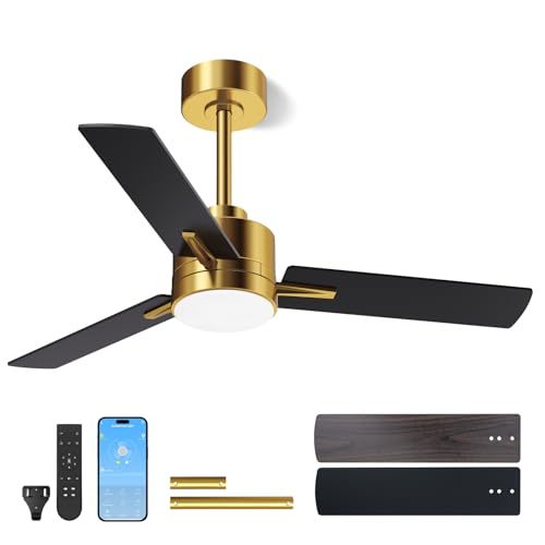 Image of LANMEL 42'' Black and Gold Ceiling Fans with Lights and Remote, 6 Speed Low Profile Modern Ceiling Fan with Quiet DC Motor for Indoor Outdoor Bedroom Living Room