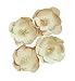 Darice Wall Décor Kit, Natural paper Flower, 84 Pieces