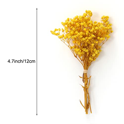 Mini ramo de flores secas Gypsophila 12cm natural miniatura 2