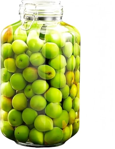 ʎт KX ~r r ۑe 2L?5L ApKXr t Cr e  }E~Ή r  e Hiۑp (5L,p^)