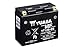 Produktbild Batterie YUASA YT12B-BS, 12V/10AH (Maße: 150x69x130) für Ducati 939 Hypermotard Baujahr 2017