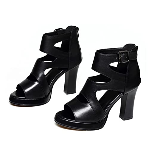 [XYJP] T}[u[c T_ sq[ I[vgD nCq[T_ `L[q[ p[eB[V[Y u[cT_ 22.5cm Loq[ ubN  fB[XT_ Lo t@bV 傫TCY