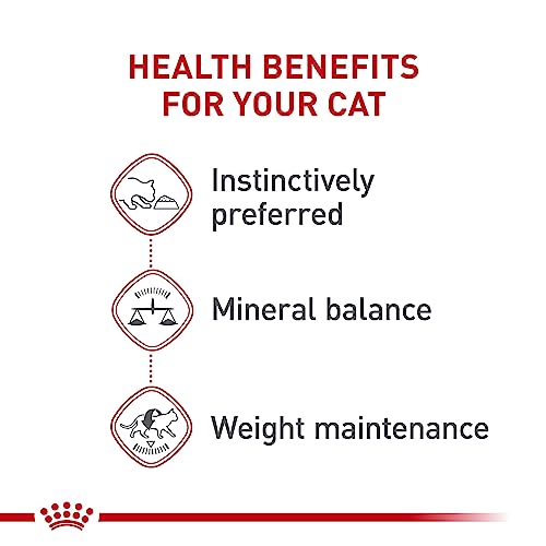 Royal Canin Feline Health Nutrition Adult Instinctive Loaf in Sauce Canned Cat Food, 5.1 oz can (24-count)