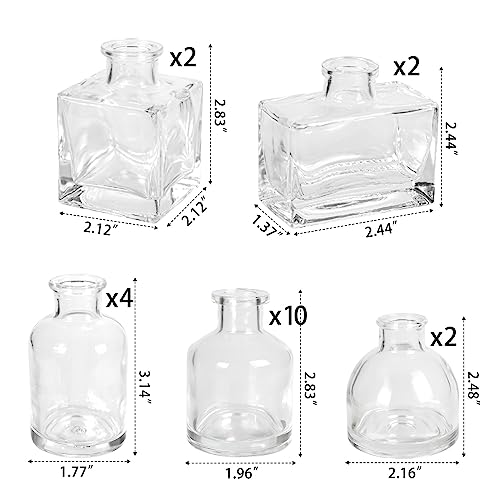 Small-Mini-Flower-Vases-Set-of-20-Clear-Glass-Bud-Vases-Vintage-Rustic-Centerpieces-for-Weddings-Events-Home-Decor-Premium-Quality-Timeless-Designs Small Mini Flower Vases Set of 20 Clear Glass Bud Vases Vintage Rustic Centerpieces for Weddings Events Home Decor Premium Quality Timeless Designs