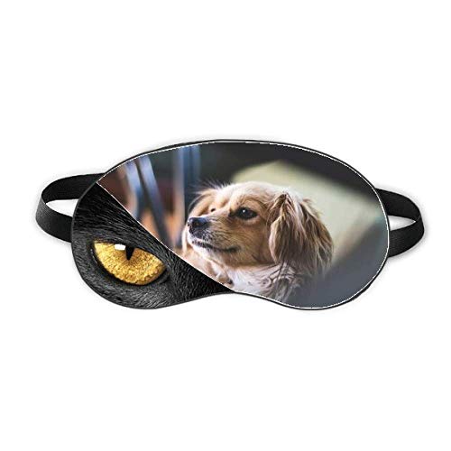 ̌ǓƂȌ̎ʐ^ xݖڂ̎Ռe