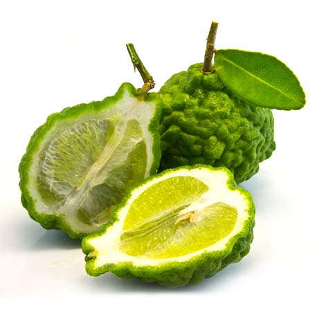 BIO - Aceite Esencial BERGAMOTA - 5mL - 100% Puro, Natural, Quimiotipado y Certificado AB - AROMA LABS (Marca Francesa) - Imagen 3