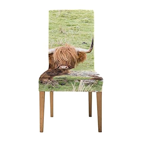 Dining Seat Covers Highland Cattle Calves Chair Back Cover Soft Stretch Cover Chairs For Dining Room Set Washable Removable Stretch Chair Covers For Dining Room Home Party Hotel Wedding Cover