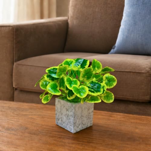 Image of fancymart Artificial Plant with Real-Touch Leaves in Pot, 25 cm, Indoor Tabletop Item for Home Decor, Office, Living Room
