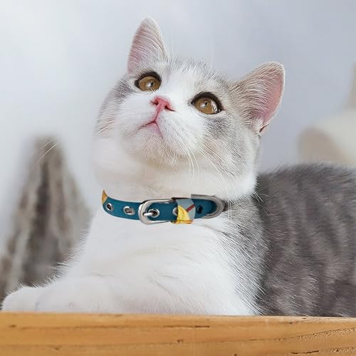 Collier réglable pour chien et chat imprimé lanternes suspendues légères - 6