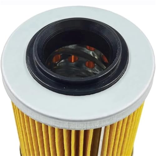 Filtre à huile moto pour CF Moto 0800-011300-0004 conception robuste