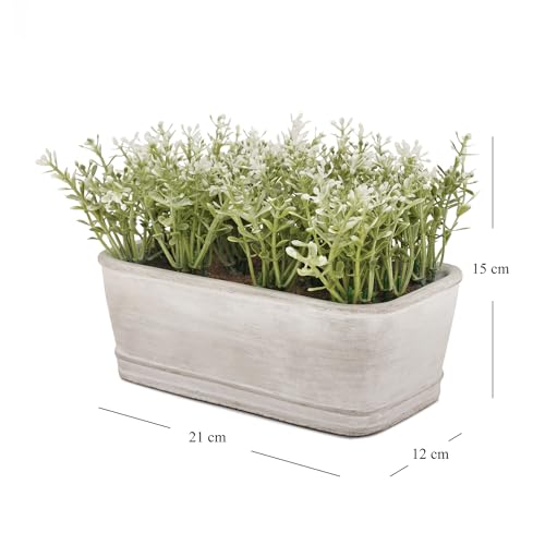 Image of PURE HOME + LIVING Green Faux Plant with Rectangular Cement Pot Plant in Dusty Green for Office Room Table Windowsill Decor.(Pot-21X12 CM,Height-15cm) Pack of 1